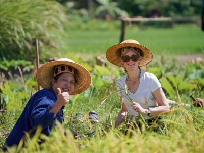 SS Rice News Convention 2025, Pattaya - Thailand